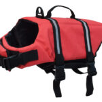 Valterra Pet Life Vest